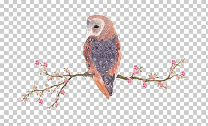 Owl IPhone 6S Bird PNG, Clipart, Art, Asianfanfics, Beak, Bird, Bird Of Prey Free PNG Download