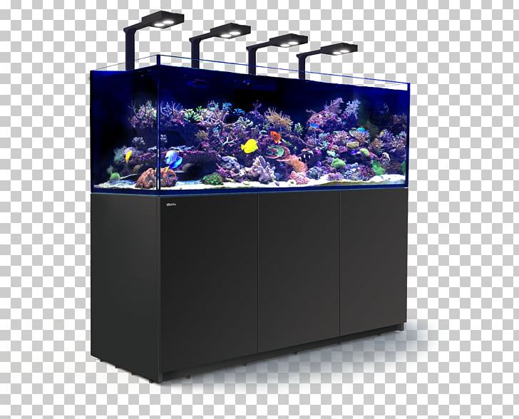 Red Sea REEFER Peninsula Reef Aquarium PNG, Clipart, Aquarium, Aquarium Lighting, Aquariums, Aquascaping, Cobalt Blue Free PNG Download