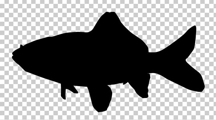 Common Goldfish Koi Silhouette PNG, Clipart, Animals, Aquarium, Black, Black And White, Common Goldfish Free PNG Download