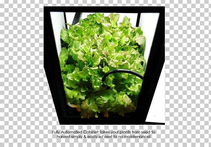 Grow Box Hydroponics Growroom Grow Light Light-emitting Diode PNG, Clipart, Cannabis, Cannabis Cultivation, Closet, Compact Fluorescent Lamp, Deep Water Culture Free PNG Download
