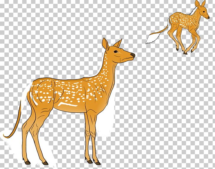 Reindeer Musk Deers Antelope Wildlife PNG, Clipart, Animal, Animal Figure, Antelope, Antler, Cartoon Free PNG Download