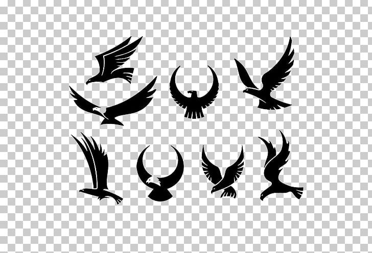Tattoo Eagle Hawk Falcon PNG, Clipart, Animal, Animals, Bald Eagle, Beak, Bird Free PNG Download