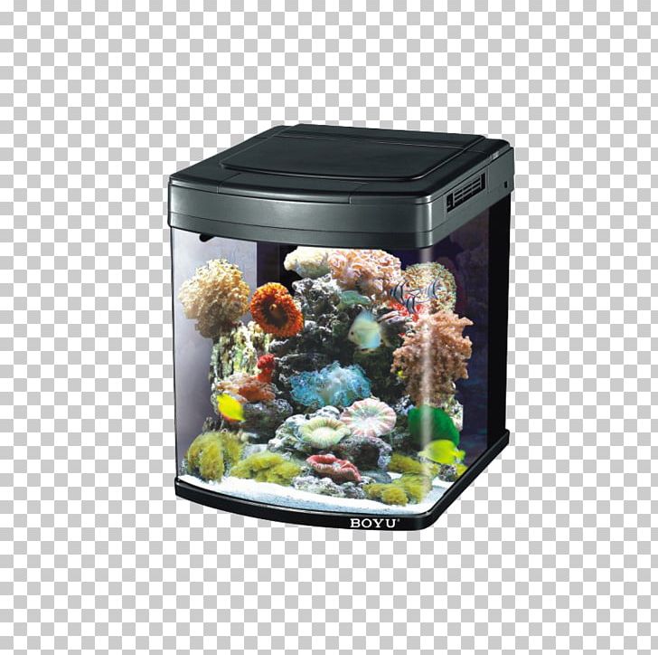 Aquarium Protein Skimmer Aerator Fish Akwarystyka Morska PNG, Clipart, Aerator, Air Pump, Akwarystyka Morska, Animals, Aquarium Free PNG Download