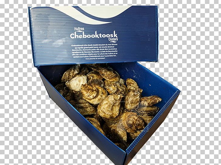 Eastern Oyster Seafood Clam Mussel PNG, Clipart, Animal Source Foods, Book, Clam, Clams Oysters Mussels And Scallops, Crassostrea Free PNG Download