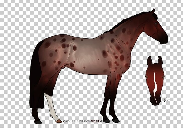 Mustang Stallion Mare Halter Mane PNG, Clipart,  Free PNG Download