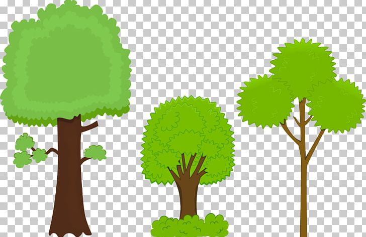 Tree Shrub Branch Trunk PNG, Clipart, Bark, Branch, Cartoon, Computer Icons, Forest Free PNG Download
