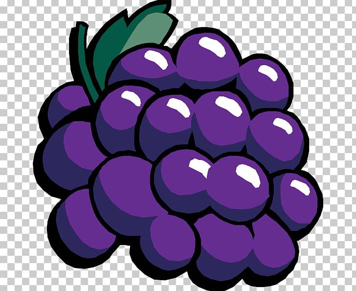 Common Grape Vine Wine PNG, Clipart, Cartoon, Cartoon Grapes Cliparts, Circle, Clip Art, Common Grape Vine Free PNG Download