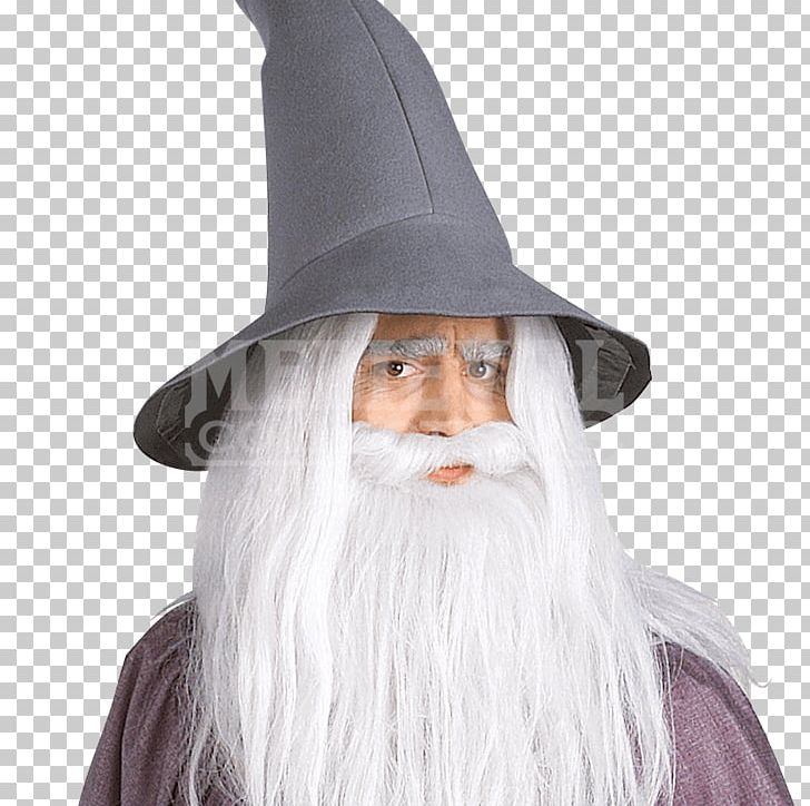Gandalf The Lord Of The Rings: The Fellowship Of The Ring Legolas PNG, Clipart, Beard, Cartoon, Clothing, Costume, Facial Hair Free PNG Download