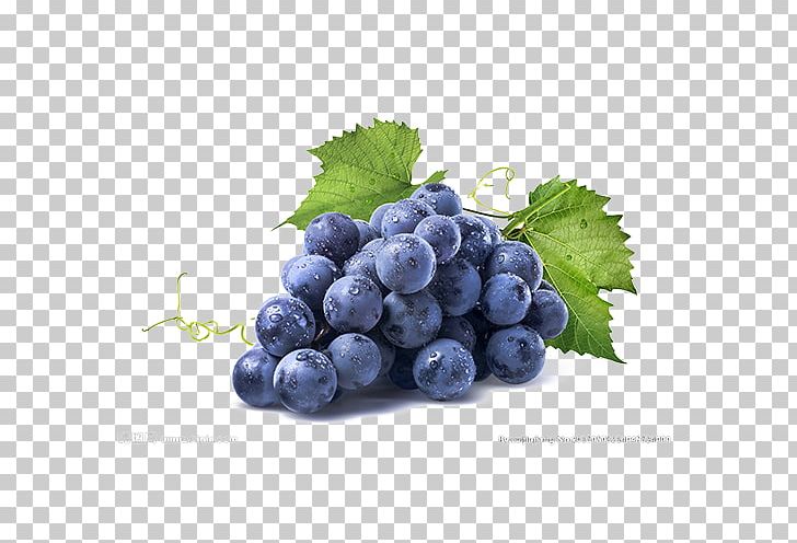 White Wine Kyoho Albarixf1o Concord Grape PNG, Clipart, Berry, Bilberry, Blue, Blue, Blue Abstract Free PNG Download