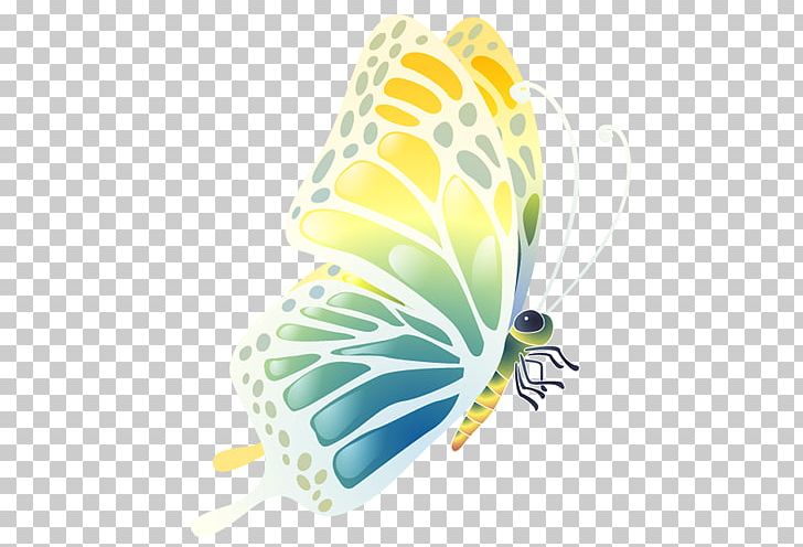Butterfly PNG, Clipart, Adobe Illustrator, Artworks, Blue Butterfly, Butterflies, Butterfly Free PNG Download