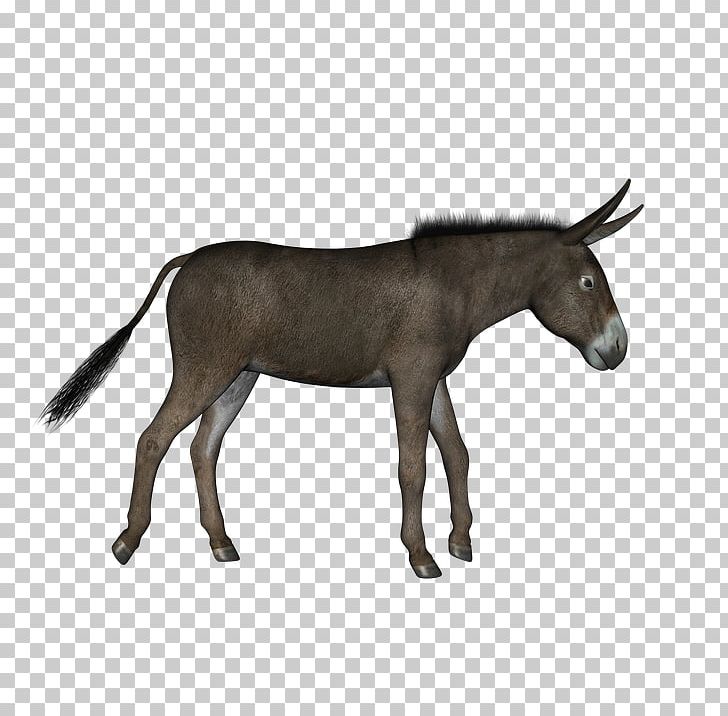 Donkey PNG, Clipart, Donkey Free PNG Download