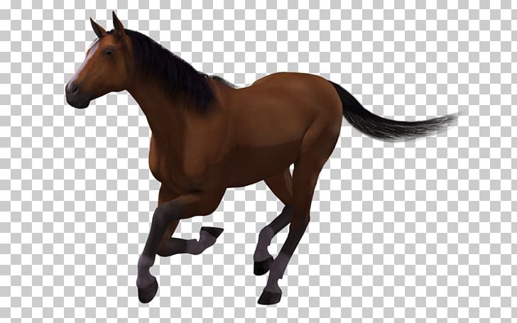 Mustang American Paint Horse Stallion Foal PNG, Clipart, 3d Computer Graphics, American Paint Horse, Animal Figure, Bit, Bridle Free PNG Download