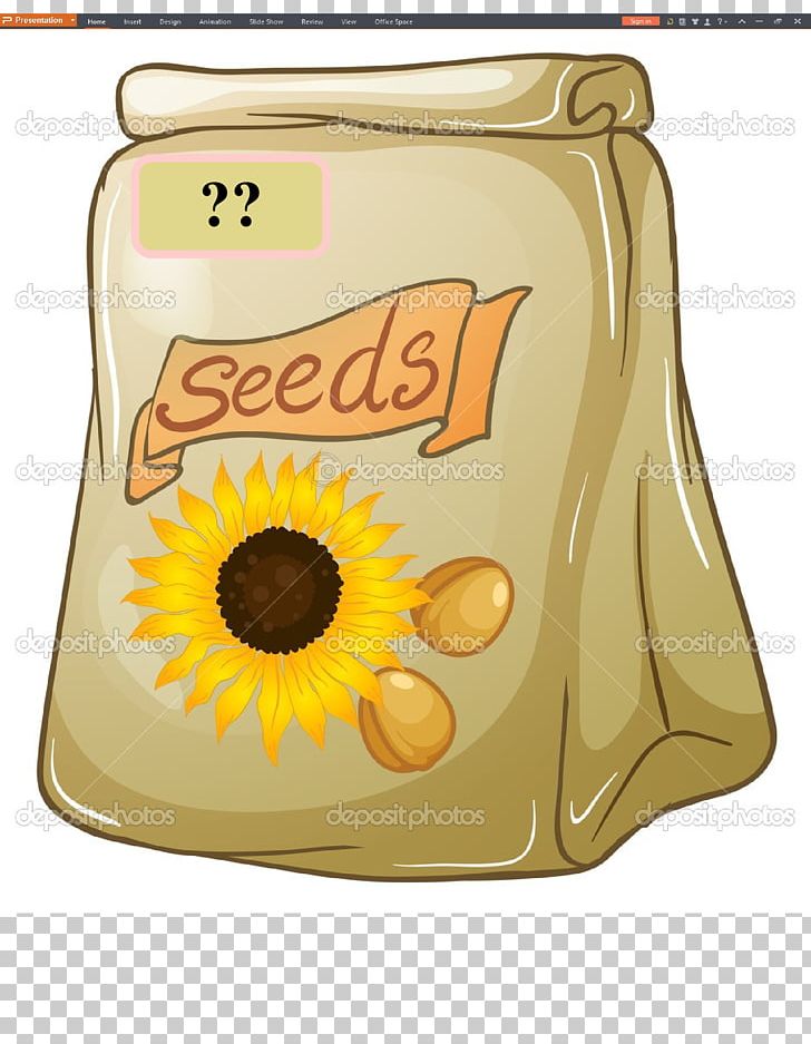 Sunflower Seed PNG, Clipart, Flower, Flowering Plant, Fotosearch, Miscellaneous, Nut Free PNG Download