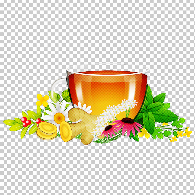 Drink Plant Flower Herbal Herbaceous Plant PNG, Clipart, Chinese Herb Tea, Drink, Flower, Herb, Herbaceous Plant Free PNG Download