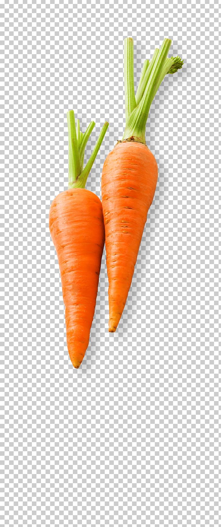 Baby Carrot Vegetable Food Carrot Cake PNG, Clipart, Baby Carrot, Baby Food, Carrot, Carrot Cake, Carrot Seed Oil Free PNG Download