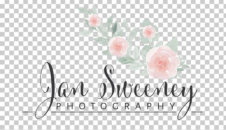 Floral Design Logo Brand Font PNG, Clipart, Artwork, Brand, Business, Calligraphy, Cut Flowers Free PNG Download