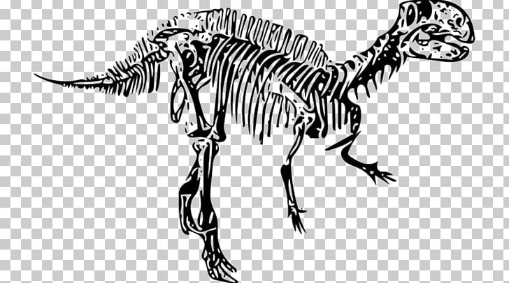Fukui Tyrannosaurus Fossil Art Dinosaur Portable Network Graphics PNG, Clipart, Animal Figure, Black And White, Dinosaur, Download, Extinction Free PNG Download