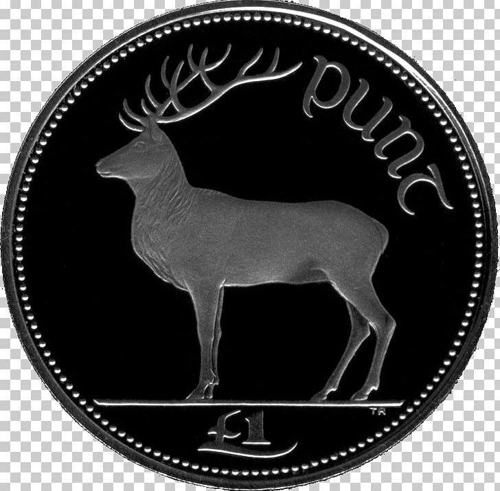 Ireland Irish Pound One Pound Euro Coin PNG, Clipart, 1 Euro Coin, Antler, Black And White, Coin, Currency Free PNG Download