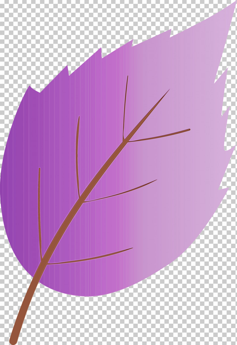 Feather PNG, Clipart, Feather, Leaf, Lilac, Paint, Plant Free PNG Download