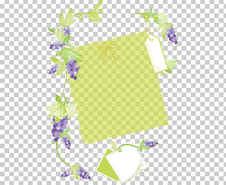 Common Grape Vine Wine Raisin PNG, Clipart, Border, Branch, Fictional Character, Flower, Flower Arranging Free PNG Download