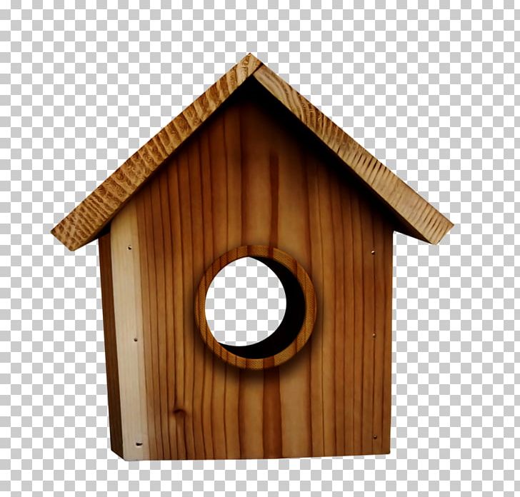 Edible Bird's Nest Bird Nest Nest Box PNG, Clipart,  Free PNG Download