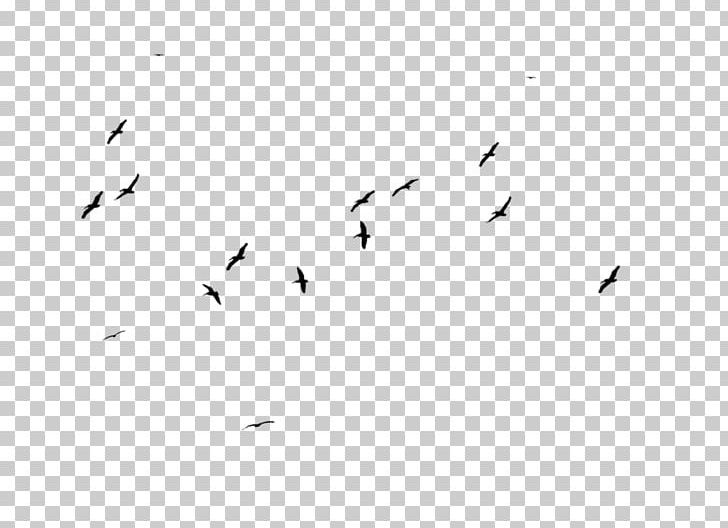 Flock Bird Migration Black And White PNG, Clipart, Animal Migration, Animals, Beak, Bird, Bird Migration Free PNG Download