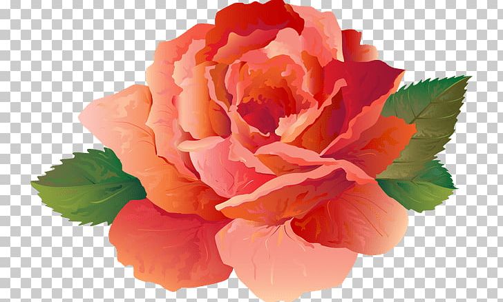 Peony PNG, Clipart, Art, Art Of, Begonia, Carnation, China Rose Free PNG Download