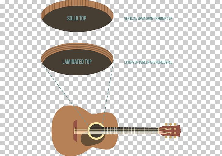Plucked String Instrument Acoustic Guitar Classical Guitar Electric Guitar PNG, Clipart, Acoustic Guitar, Brand, C F Martin Company, Classical Guitar, Cutaway Free PNG Download