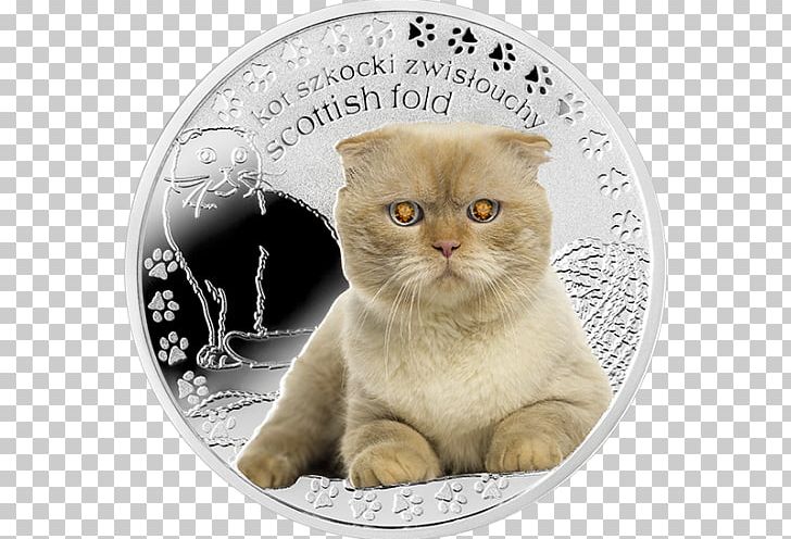 Scottish Fold Whiskers British Shorthair Domestic Short-haired Cat Silver Coin PNG, Clipart,  Free PNG Download