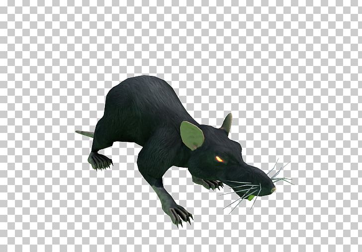 Mouse Whiskers Snout Fauna Wildlife PNG, Clipart, Animals, Carnivoran, Fauna, Mammal, Mouse Free PNG Download