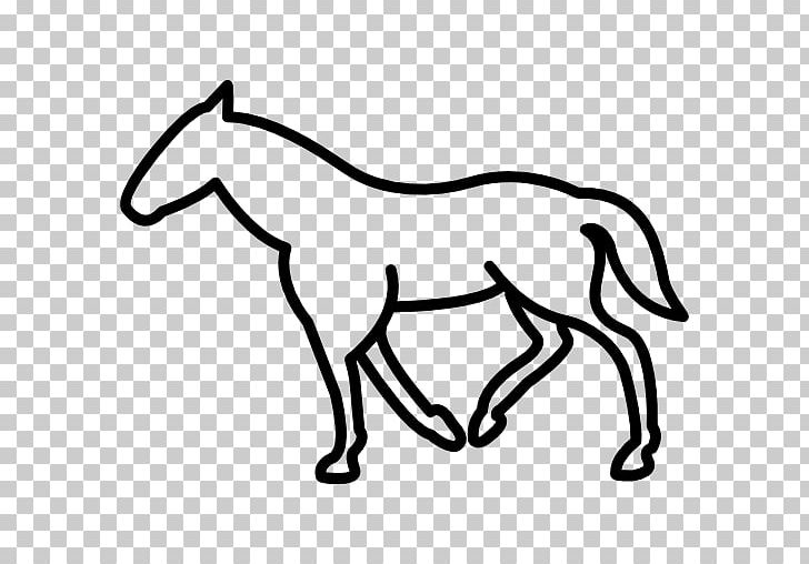 Mule Pony Mustang Foal Colt PNG, Clipart, Black, Black And White, Carnivoran, Cat Like Mammal, Colt Free PNG Download
