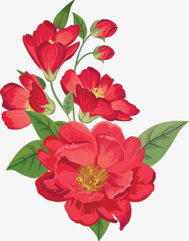 Red Flowers In Full Bloom PNG, Clipart, Beautiful, Bloom Clipart, Decoration, Flowers, Flowers Clipart Free PNG Download