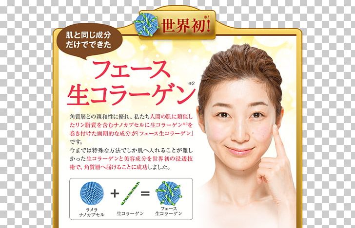 美容液 Collagen たるみ Wrinkle Cheek PNG, Clipart, Cheek, Chin, Collagen, Cosmetics, Ear Free PNG Download