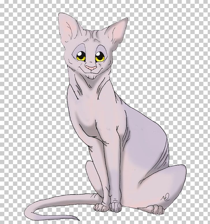 Donskoy Peterbald Devon Rex Korat Whiskers PNG, Clipart, Carnivoran, Cartoon, Cat Like Mammal, Devon Rex, Domestic Short Haired Cat Free PNG Download