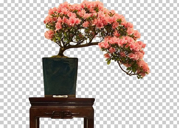 Indoor Bonsai Flowerpot Rhododendron Indicum Tree PNG, Clipart, Art, Artificial Flower, Azalea, Bonsai, Cut Flowers Free PNG Download