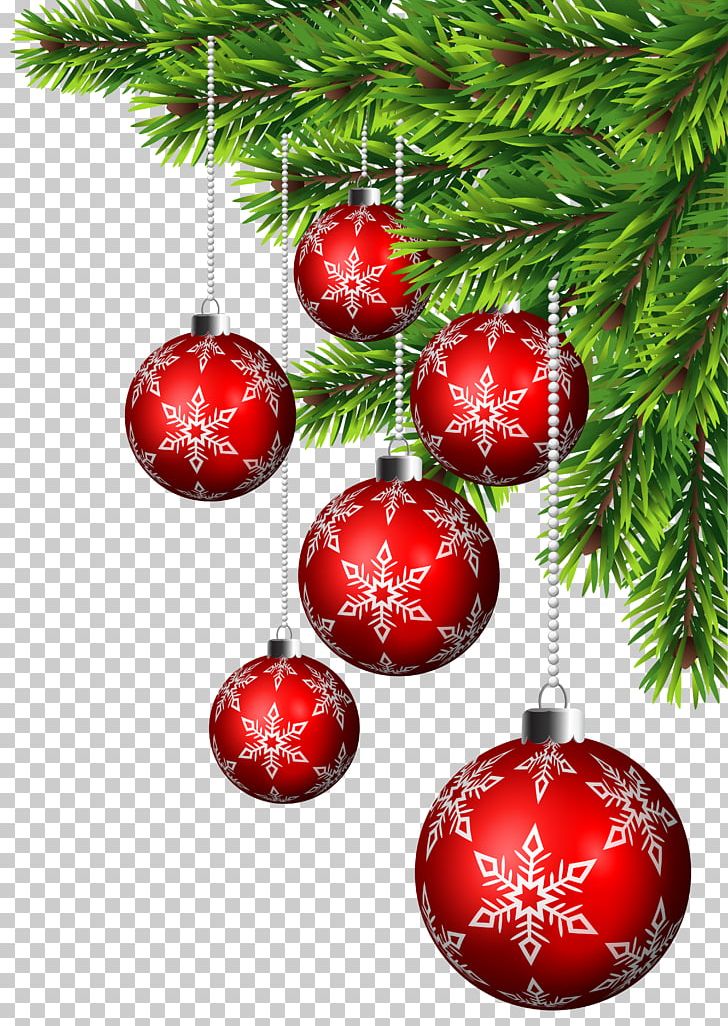 Christmas Ornament Christmas Decoration Santa Claus Christmas Tree PNG, Clipart, Bass Decor Srl, Branch, Chris, Christmas, Christmas And Holiday Season Free PNG Download