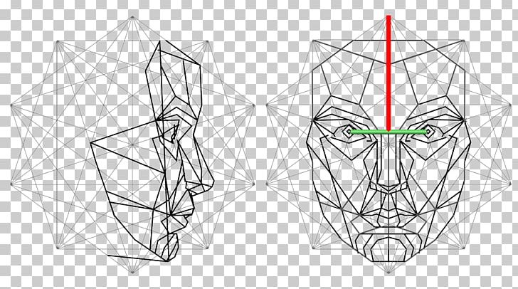 Golden Ratio Face Human Head Mask PNG, Clipart,  Free PNG Download