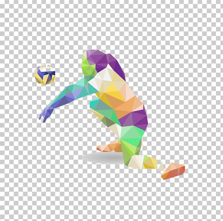 Volleyball Sport Athlete Basketball PNG, Clipart, Athlete, Basketball, Football, Judo, Player Free PNG Download