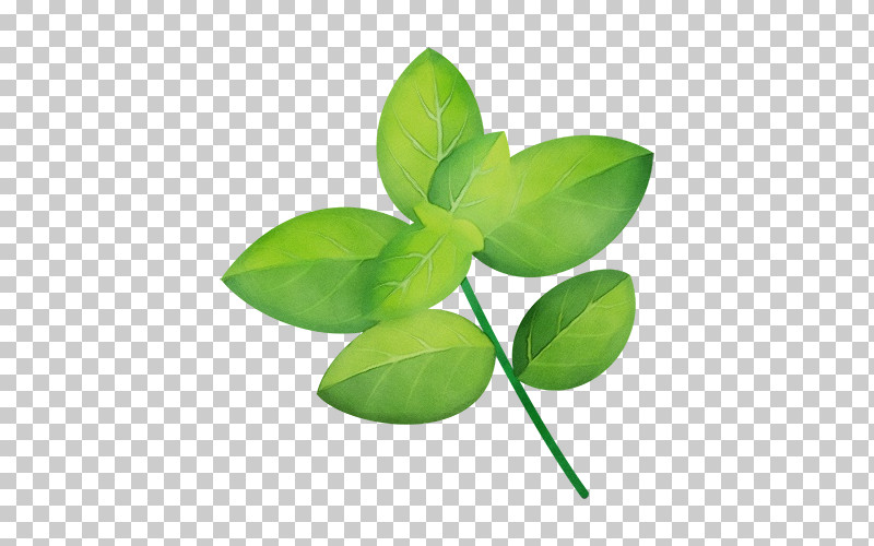Leaf Plant Stem Green Plant Plant Structure PNG, Clipart, Biology, Green, Leaf, Paint, Plant Free PNG Download