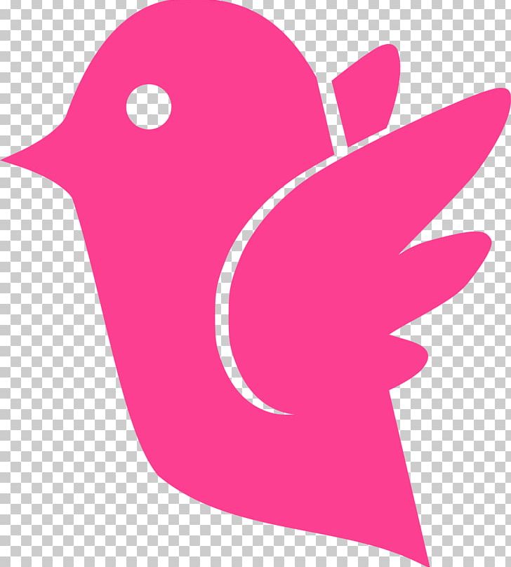 Columbidae Pink Pigeon PNG, Clipart, Animal, Animals, Beak, Bird, Columbidae Free PNG Download