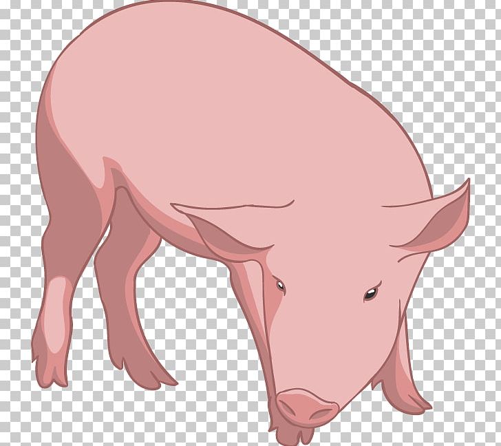 Domestic Pig PNG, Clipart, Animaatio, Animal, Animals, Carnivore, Cattle Like Mammal Free PNG Download