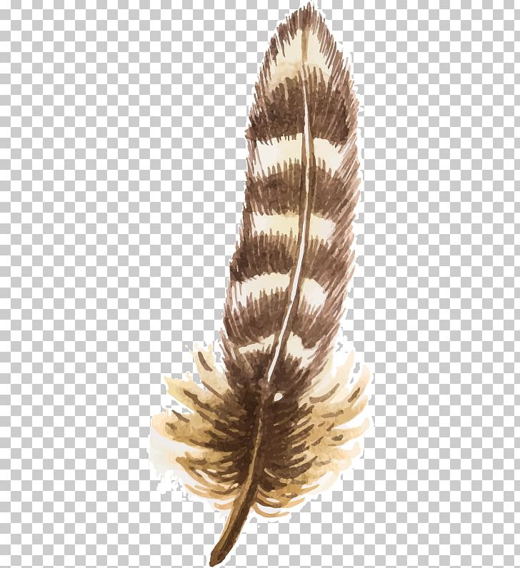 Feather Euclidean Watercolor Painting PNG, Clipart, Animals, Brown, Brown Background, Brown Vector, Cdr Free PNG Download
