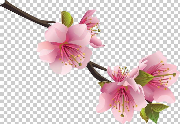 Flower Bouquet PNG, Clipart, Alstroemeriaceae, Blossom, Branch, Cherry Blossom, Collage Free PNG Download