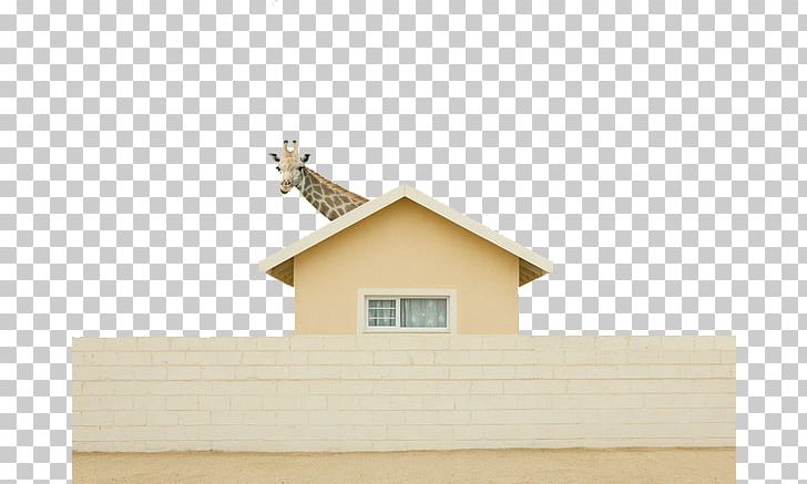 Humour Photography Photographer Brite Productions PNG, Clipart, Angle, Animal, Animals, Apartment House, Facade Free PNG Download