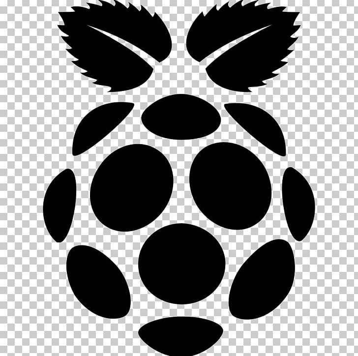 Raspberry Pi Computer Icons Raspbian Web Browser PNG, Clipart, Black, Black And White, Chrome Os, Command, Computer Hardware Free PNG Download