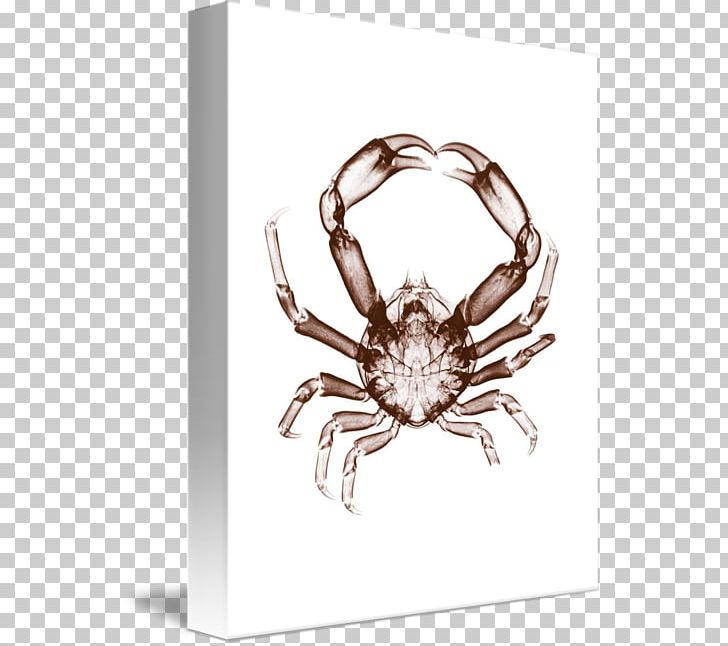 Crab Gallery Wrap Arthropod Canvas Body Jewellery PNG, Clipart, Art, Arthropod, Body Jewellery, Body Jewelry, Canvas Free PNG Download
