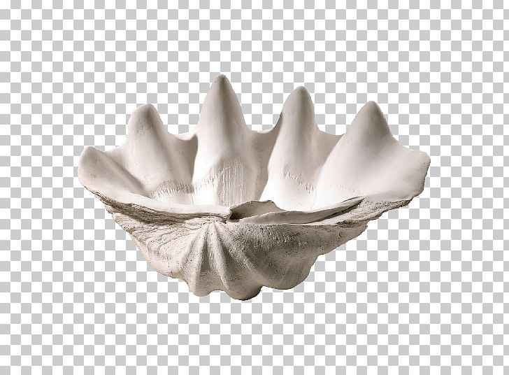 Giant Clam Bowl Seashell Oyster PNG, Clipart, Animals, Bacina, Bowl, Ceramic, Clam Free PNG Download