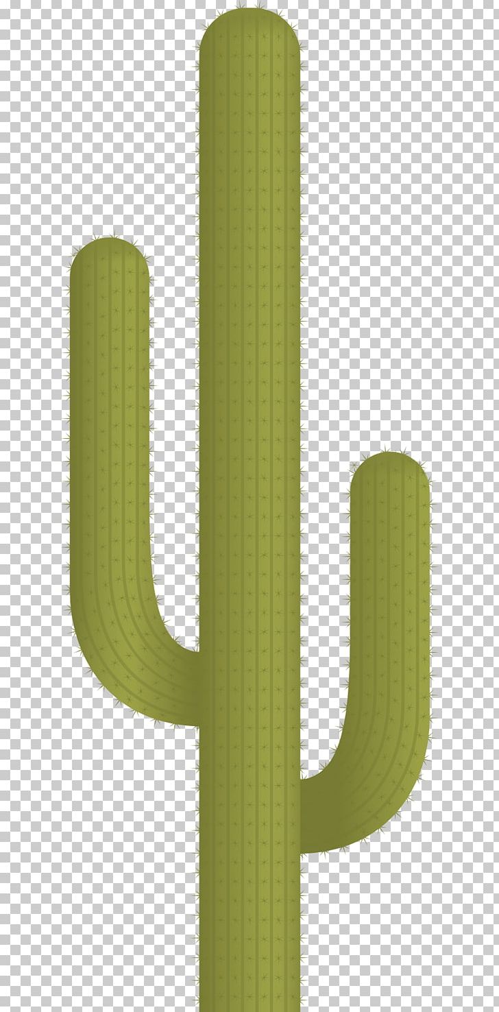 Green Cactaceae Pattern PNG, Clipart, Angle, Cactaceae, Cacti, Cactus, Cliparts Free PNG Download