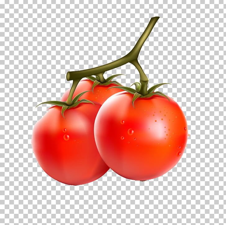 Cherry Tomato Vegetable Fruit Eggplant PNG, Clipart, Acerola Family, Apple, Bell Pepper, Cherry, Chili Pepper Free PNG Download