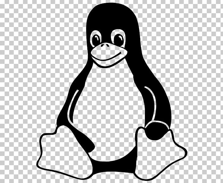 Linux Distribution Linux Kernel Tux PNG, Clipart, Artwork, Beak, Bird, Black And White, Computer Software Free PNG Download
